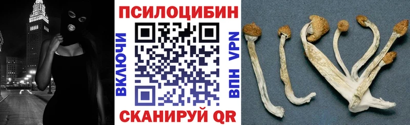 Галлюциногенные грибы Cubensis  Александров 
