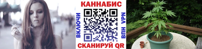 KRAKEN маркетплейс  Александров  Марихуана индика 